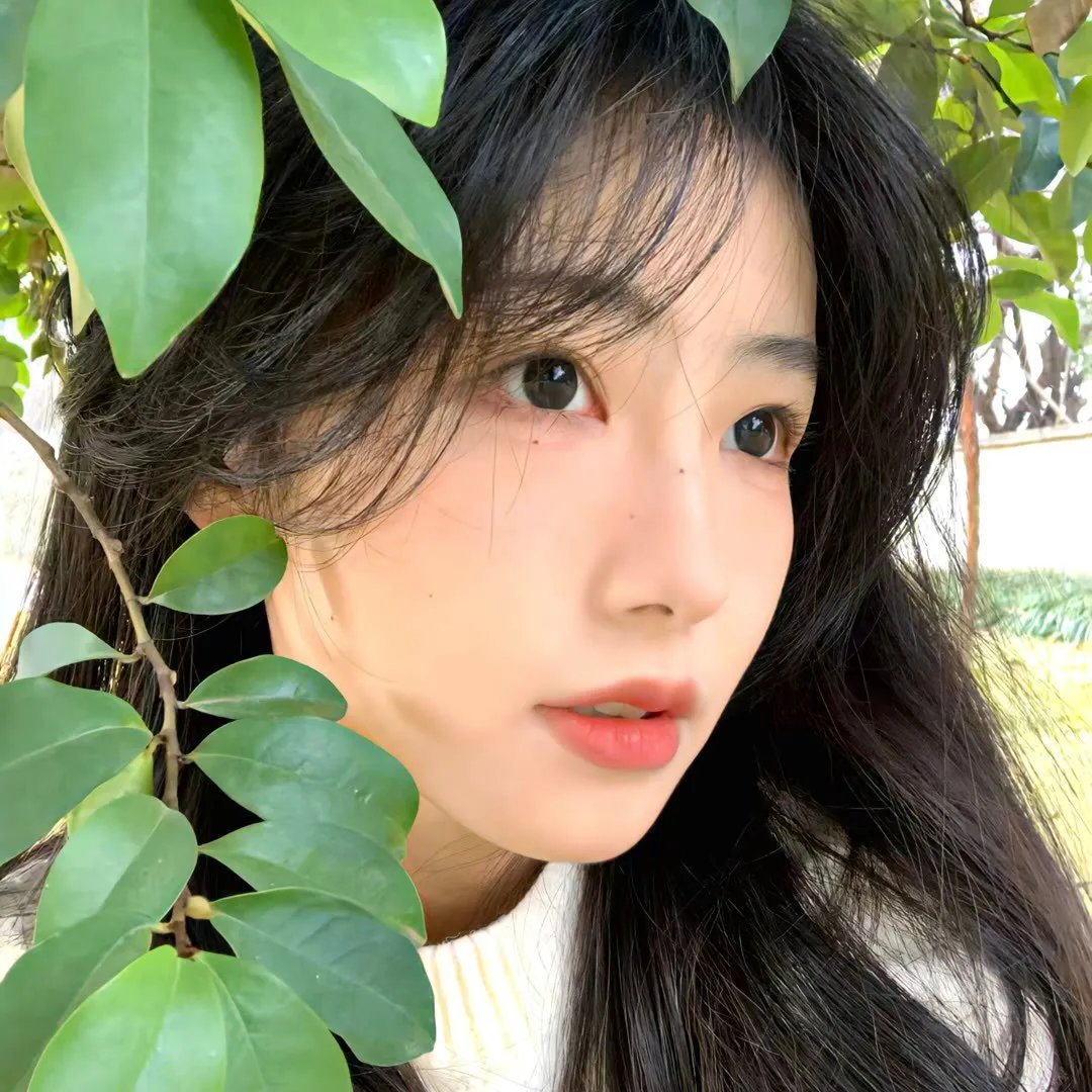 送子鸟高清封面